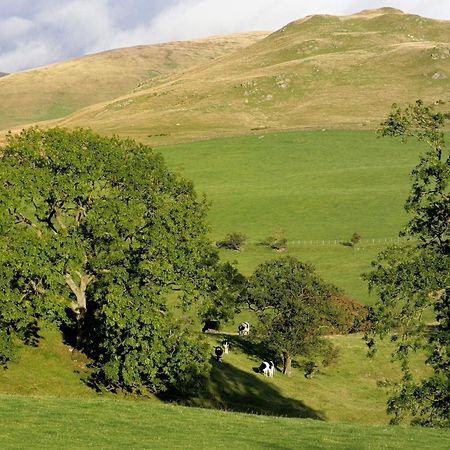 Gateside Farmhouse Sedbergh Bagian luar foto