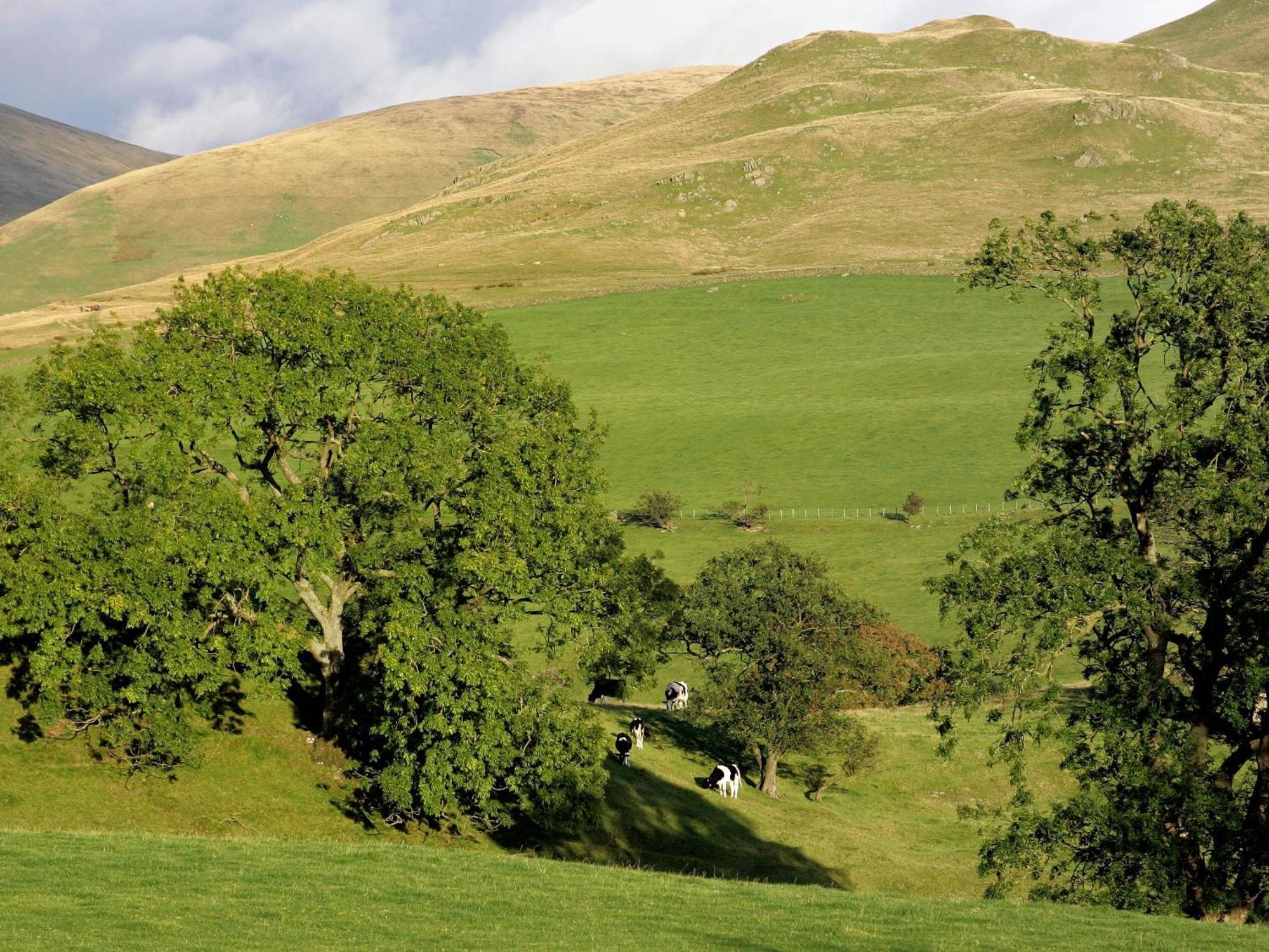 Gateside Farmhouse Sedbergh Bagian luar foto